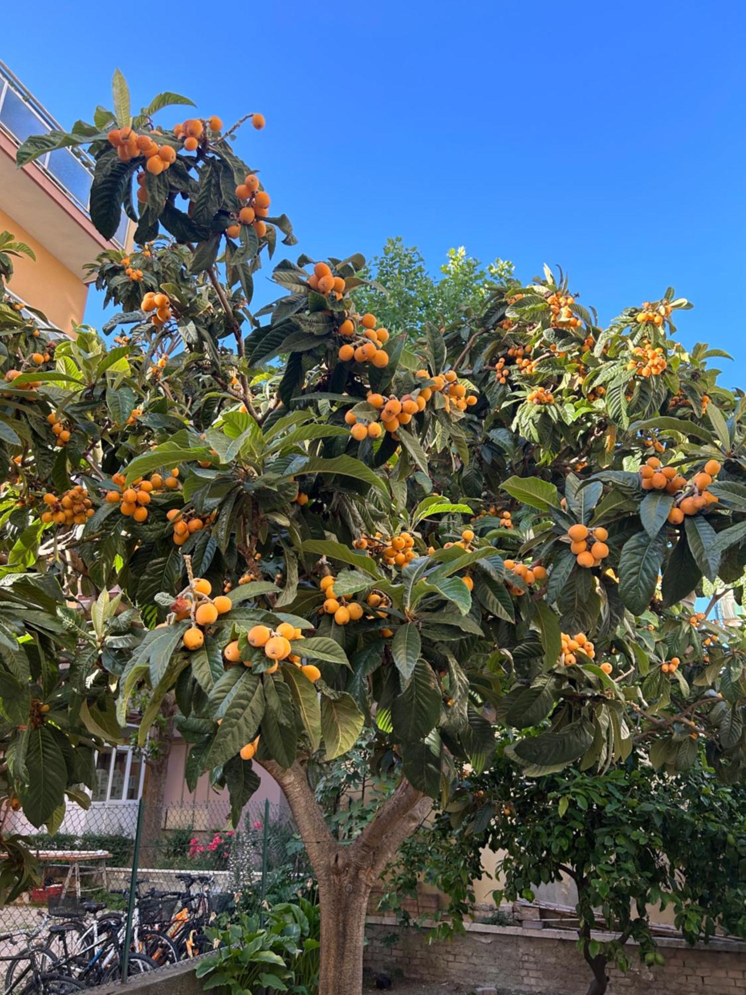 Zona Residenziale, Due Passi Dal Mare